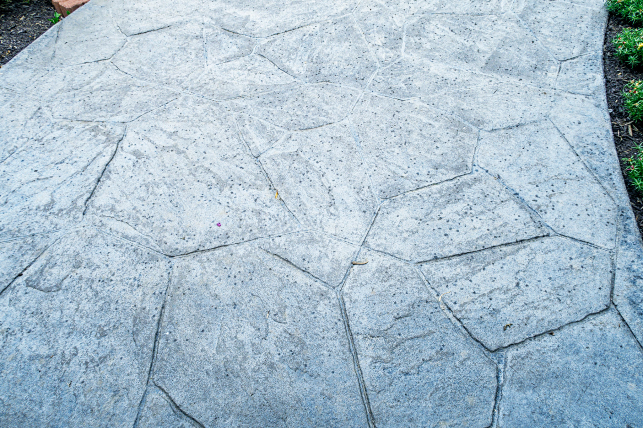 First Rain Storm Raindrops Scattered on Concrete Footpath First Rain Storm Raindrops Scattered on Concrete Footpath