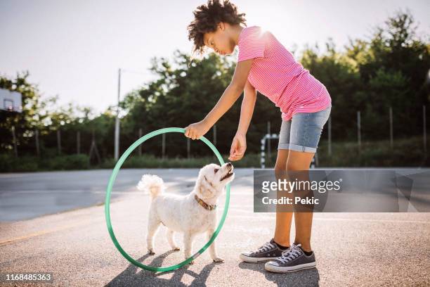 chica africana jugando con el aro de plástico y su perro - agility fotografías e imágenes de stock