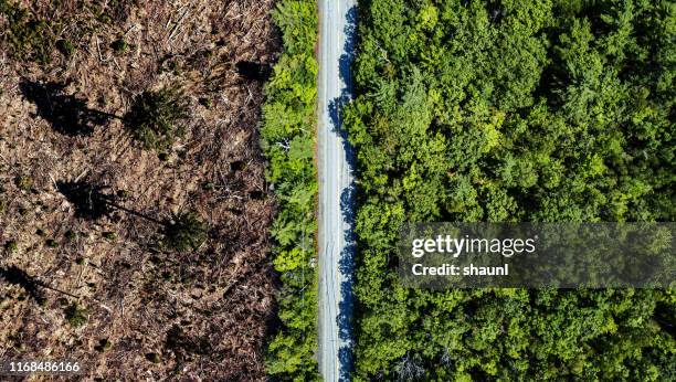 duidelijke snijrand - deforestation stockfoto's en -beelden