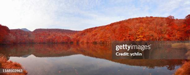 autumn scenery in tsuta numa pond - prefeitura de aomori imagens e fotografias de stock