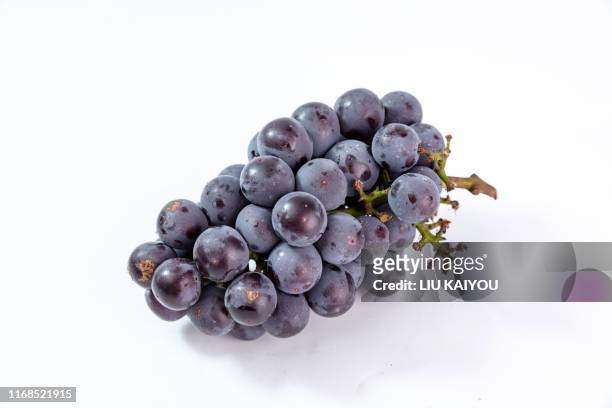 grapes fruit against while background - australia winery stock pictures, royalty-free photos & images