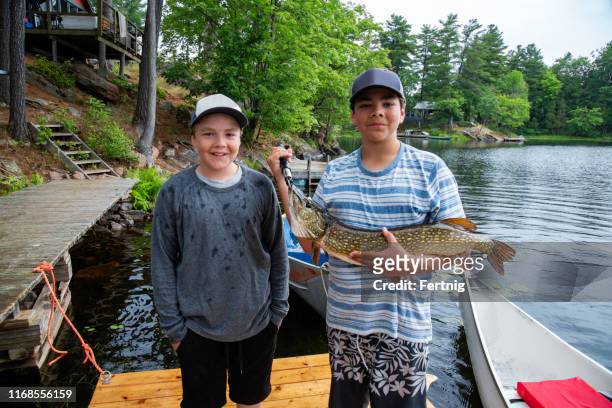 two brothers proudly holding a fish they have caught. - northern pike stock pictures, royalty-free photos & images