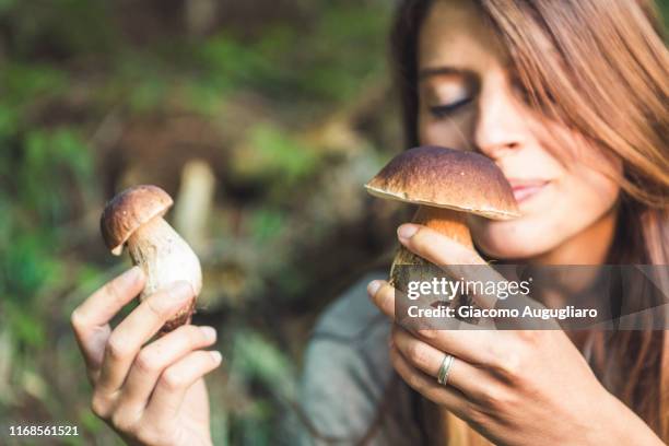 young woman smelling porcini mushrooms freshly picked, valtellina, sondrio province, lombardy, italy - regno dei funghi foto e immagini stock