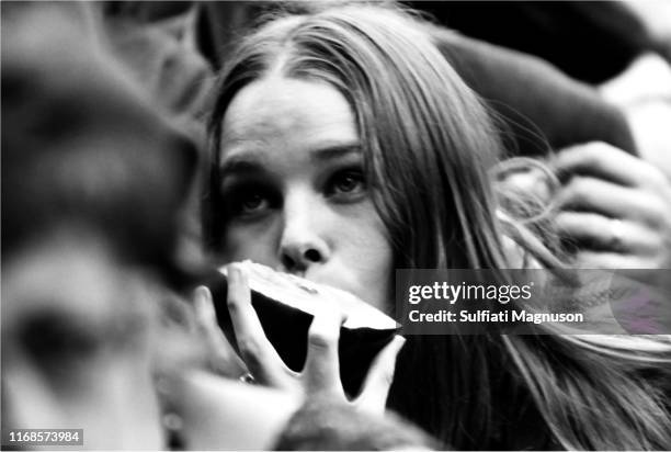 Michelle Phillips, frontal view, eating a papaya, seated in the crowd, awating a performance at The Monterey International Pop Festival in the...