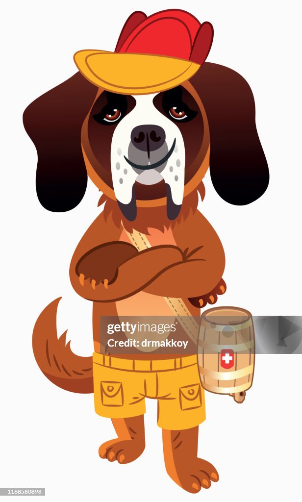 Saint Bernard ,Helvetia