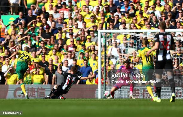 Teemu Pukki of Norwich City scores his team's third goal during the Premier League match between Norwich City and Newcastle United at Carrow Road on...