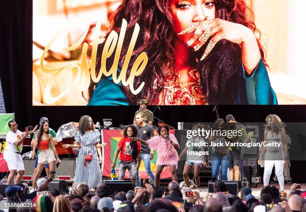 British R&B and Rap musician, producer, and actress Estelle performs onstage, surrounded by audience members, during the VP Records 40th anniversary...