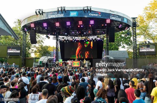 British R&B and Rap musician, producer, and actress Estelle performs onstage during the VP Records 40th anniversary celebration at Central Park...