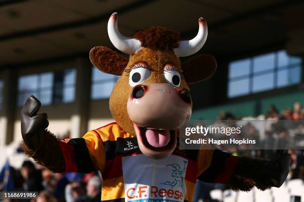 Mooloo Bell Ringing 32 Mooloo Stock Photos, High-Res Pictures, and Images - Getty Images