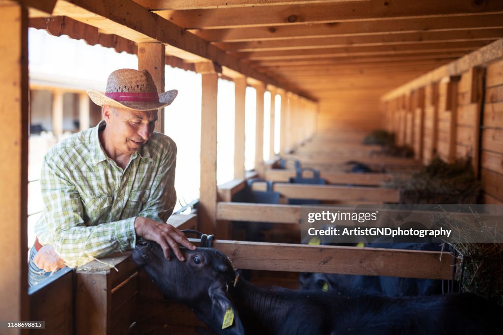 Porträt des erwachsenen männlichen Bauern in Ranch.