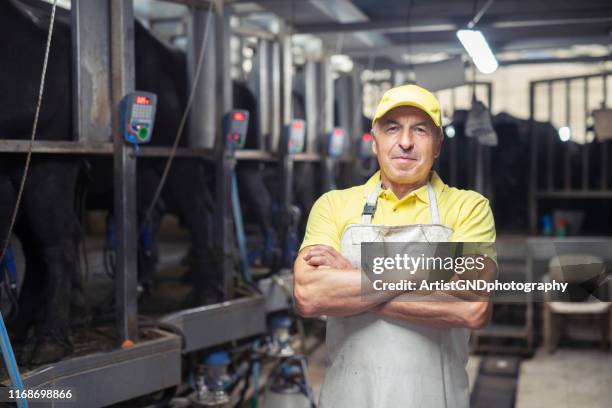 retrato de trabajador de cuello azul en la granja lechera moderna. - tubo de succión fotografías e imágenes de stock