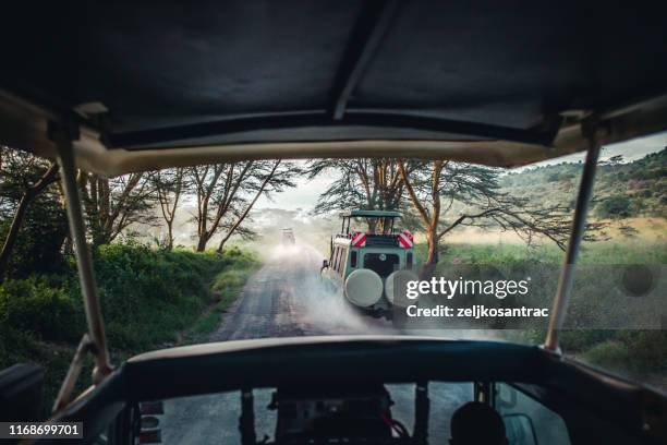 driving safari cars on the savannah in masai mara, africa - ox driven stock pictures, royalty-free photos & images