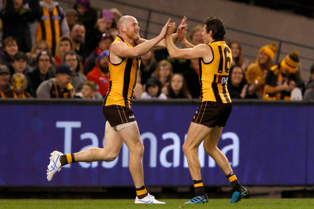 Jarryd Roughead of the Hawks celebrates a goal during the round 22 AFL match between the Hawthorn Hawks and the Gold Coast Suns at Marvel Stadium on...