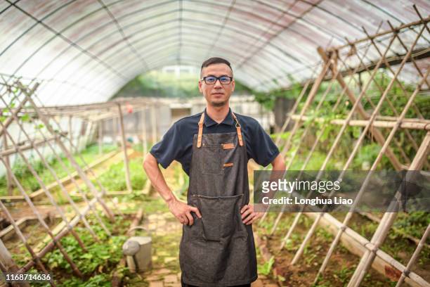 A young Asian man in a greenhouse