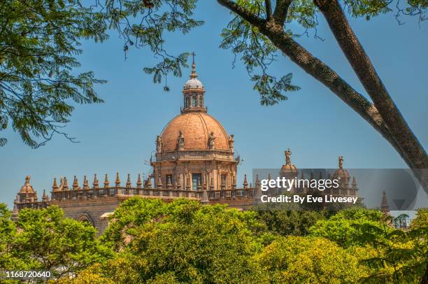 cathedral of the holy saviour - jerez de la frontera spain stock pictures, royalty-free photos & images