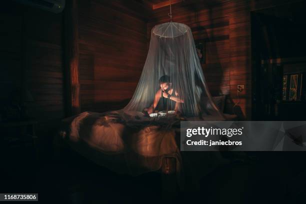 séance de lecture de nuit - moustiquaire photos et images de collection