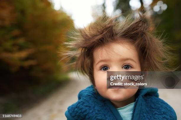 fuzzy hair - bad hair day stock pictures, royalty-free photos & images