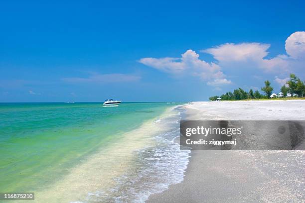 tropical beach - sanibel island - sanibel island florida bildbanksfoton och bilder