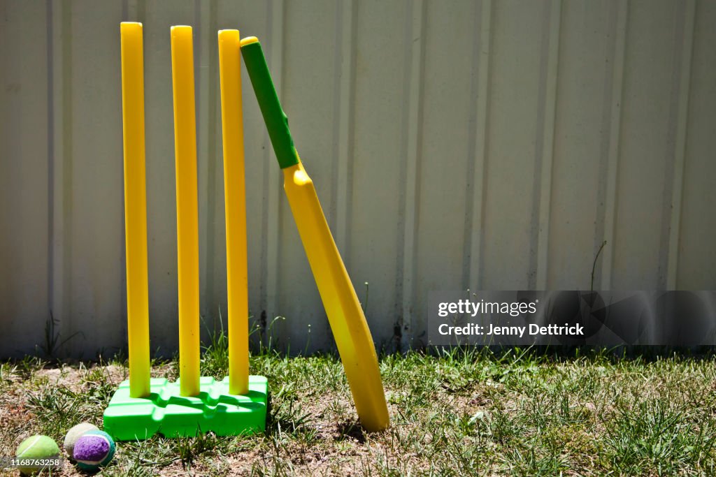 Cricket in the backyard
