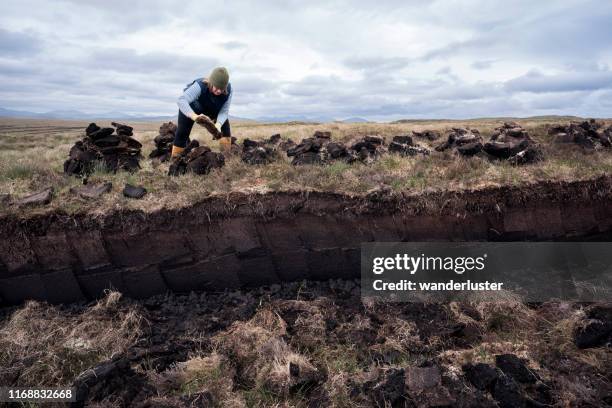 mujer que trabaja en pantano de turba apila turba para secar - turba fotografías e imágenes de stock