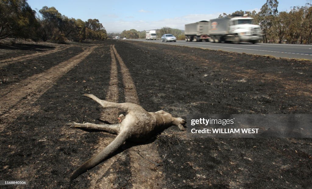 TOPSHOT-AUSTRALIA-WEATHER-FIRE