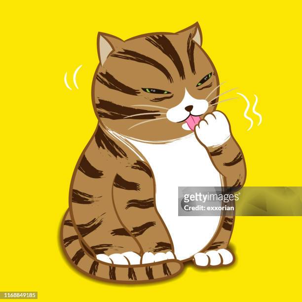 stockillustraties, clipart, cartoons en iconen met cartoon karakter-grooming kat - licking