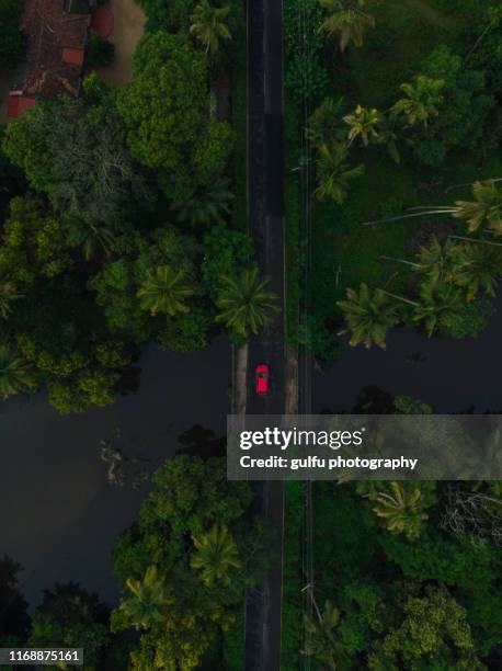 kerala backwaters and scenic aerial view of car going through bridge - kerala food stock pictures, royalty-free photos & images