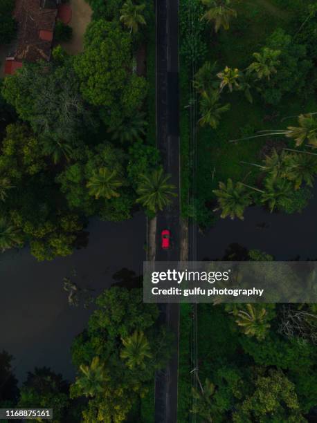 kerala backwaters and scenic aerial view of car going through bridge - laguna de kerala - fotografias e filmes do acervo