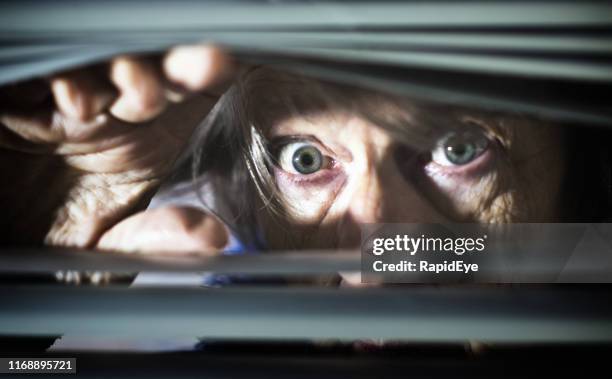 frightened senior woman looking, wide eyed, through blinds - nosy woman stock pictures, royalty-free photos & images