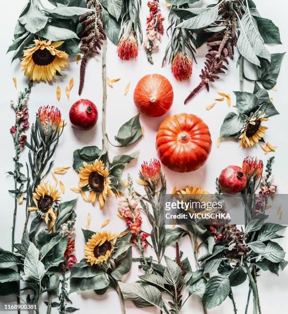 Autumn flat lay with pumpkins, garden flowers and sunflowers