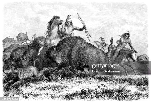 stockillustraties, clipart, cartoons en iconen met inheemse amerikanen jacht buffels met pijl en boog 1862 - apache