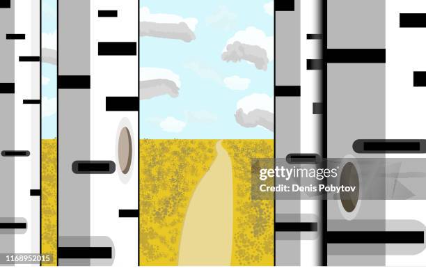 road in a field among birches - vector rural landscape. - fall road background stock illustrations