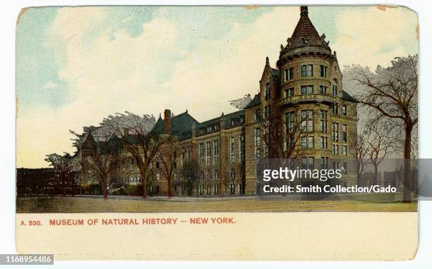 Illustrated postcard of the Museum of Natural History, New York City, 1905. From the New York Public Library.