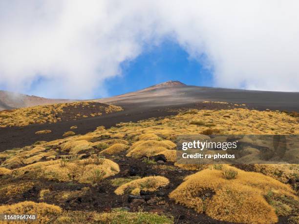 paesaggio vulcanico - mt etna foto e immagini stock