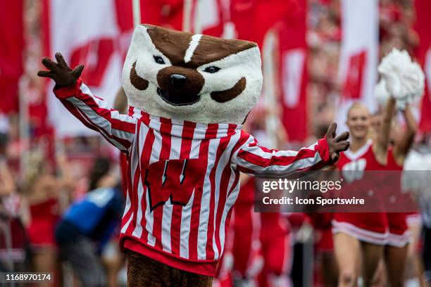 Wisconsin Badger mascot Bucky Badger runs out of the tunnel before the rest of the football team is introduced before a college football game between...
