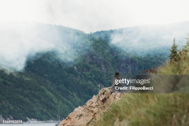 young adult woman on the coastline looking away - fjord stock pictures, royalty-free photos & images