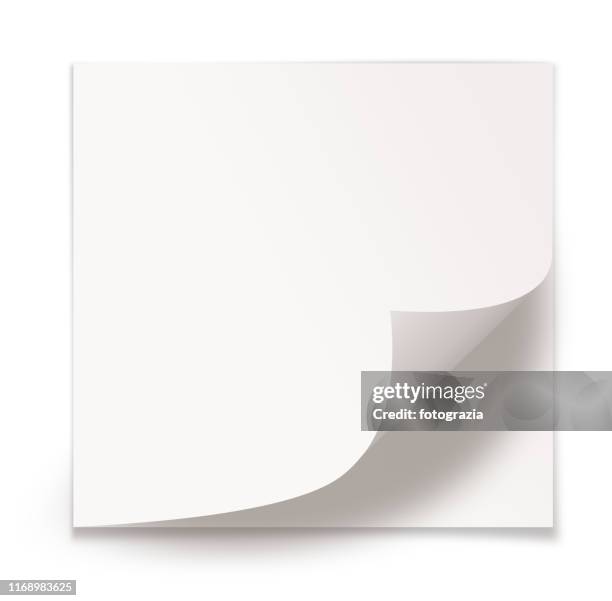 blank white paper sheet on white background - curled up stock-fotos und bilder