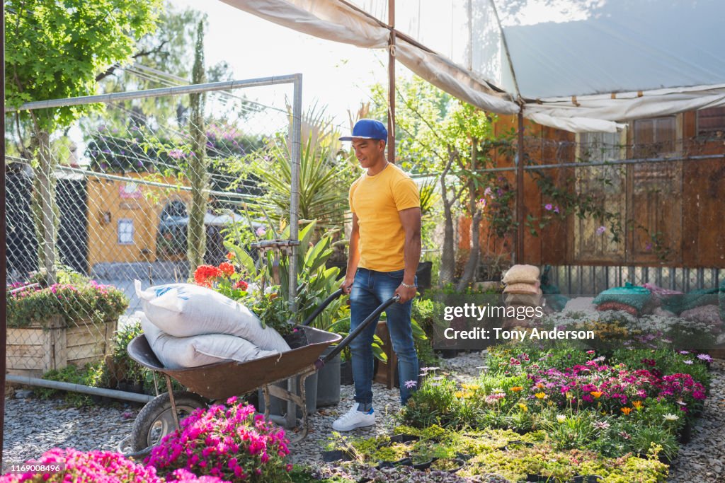 Young man working outdoors in garden shop