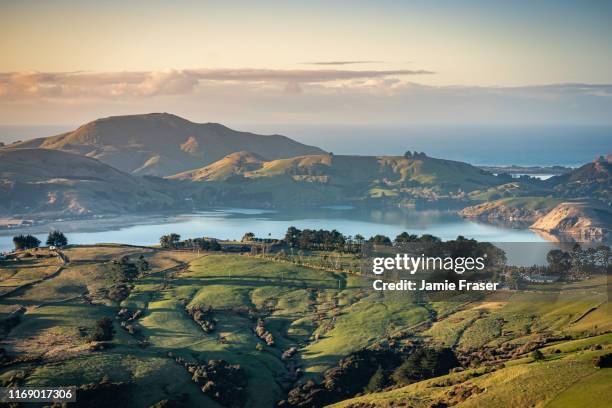 otago peninsula en glooiende heuvels en landbouwgrond, dunedin, nieuw-zeeland - new zealand rural stockfoto's en -beelden