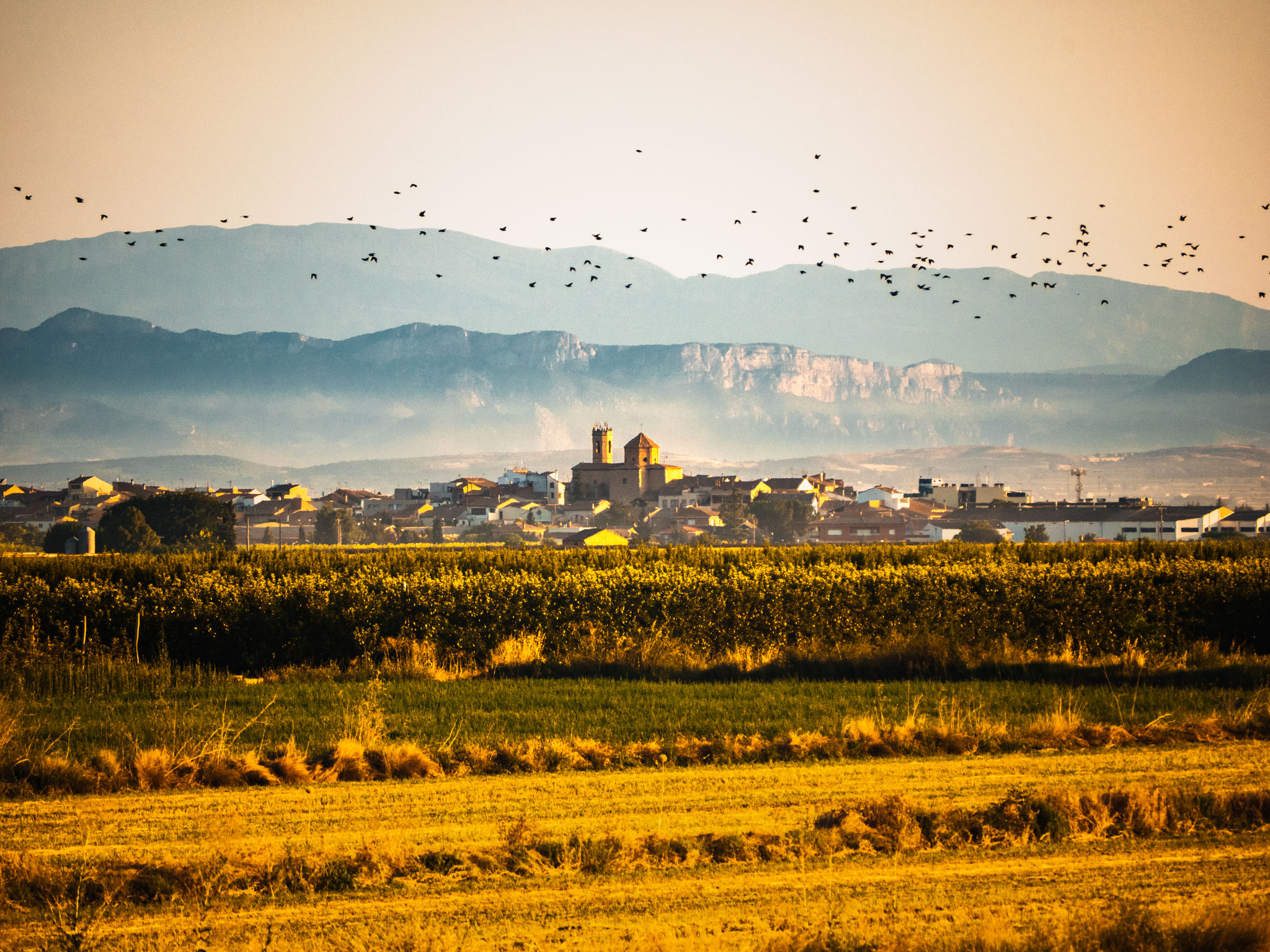 landscape catalunya