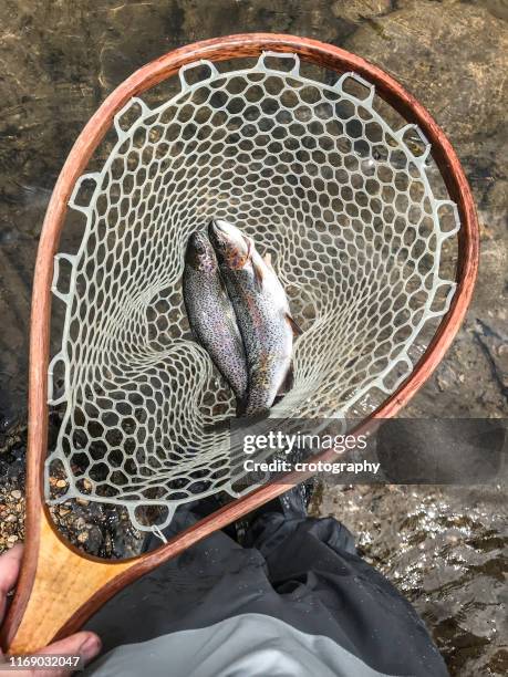 899 Hand Fishing Net Stock Photos, High-Res Pictures, and Images