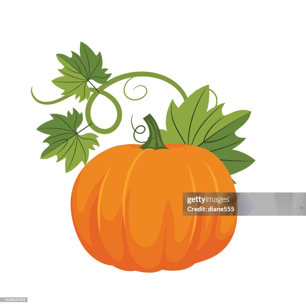 Flat Design Pumpkin
