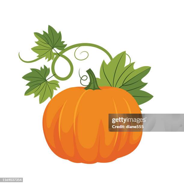 flat design pumpkin - pumpkins stock illustrations