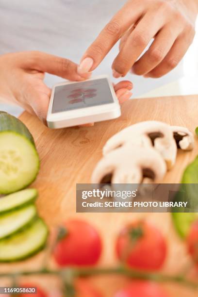 woman preparing food using smartphone - following recipe stock pictures, royalty-free photos & images