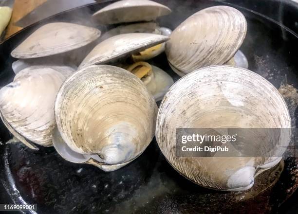 hard shell clams being grilled in teflon frying pan at kitchen - polytetrafluoroethylene stock pictures, royalty-free photos & images