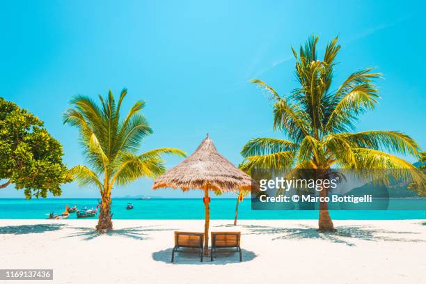 idyllic tropical beach, thailand - tropical climate stock-fotos und bilder