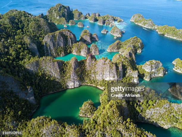 raja ampat archipelago, west papua, indonesia - raja ampat islands 個照片及圖片檔