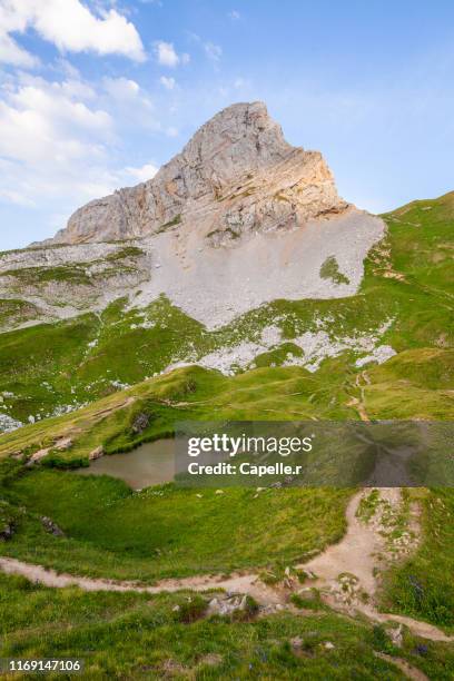 alpes françaises - lac de peyre - le grand bornand stockfoto's en -beelden