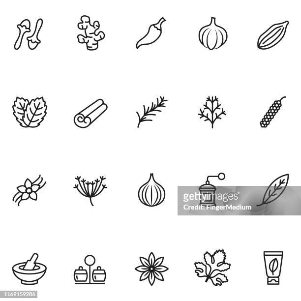 ilustrações, clipart, desenhos animados e ícones de ervas e ícones das especiarias - folha de menta culinária