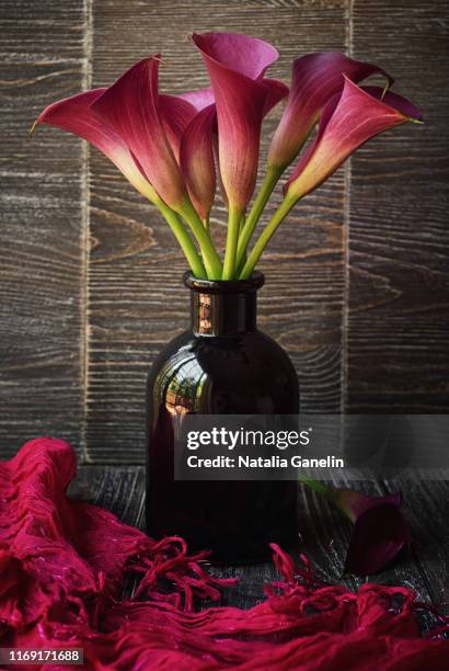 bouquet of calla lilies - aronskelk stockfoto's en -beelden